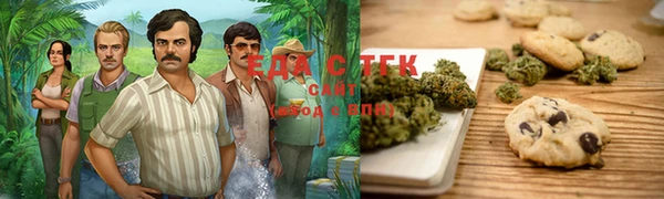 винт Лагань