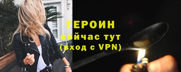 винт Лагань