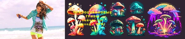 прущие грибы Лихославль