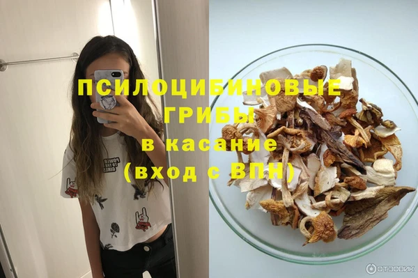 прущие грибы Лихославль