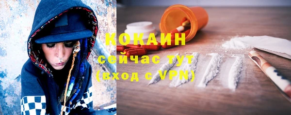 прущие грибы Лихославль