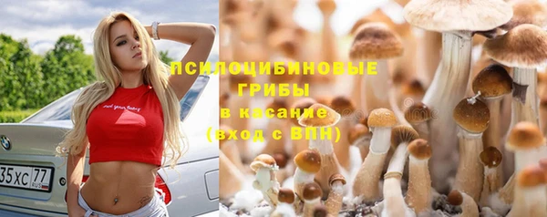 амфетамин Липки