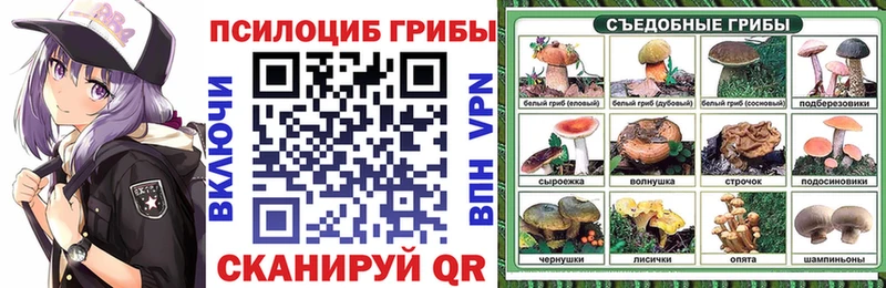 наркотики  blacksprut сайт  Галлюциногенные грибы GOLDEN TEACHER  Михайловка 