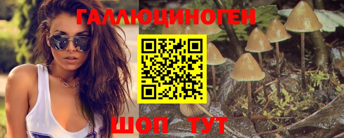 Галлюциногенные грибы Psilocybe  Вход с VPN  Михайловка 