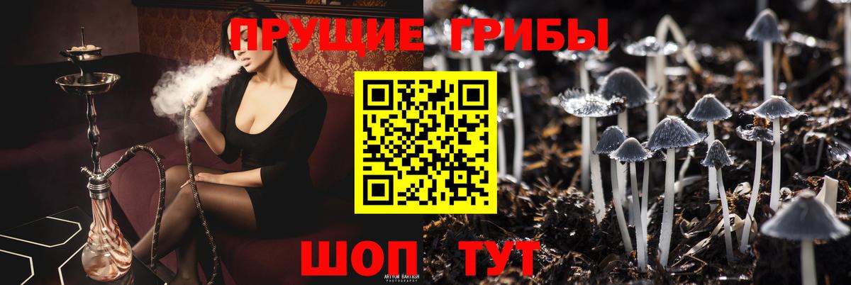 Галлюциногенные грибы Magic Shrooms Михайловка